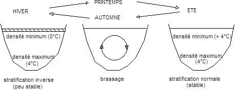 DEHUA185.png