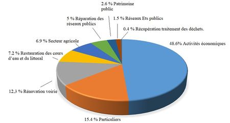 Graphiques Degats Rhone 2003.jpg