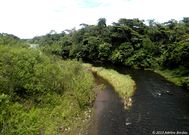 Transformation des méandres, jungle équatorienne.jpg