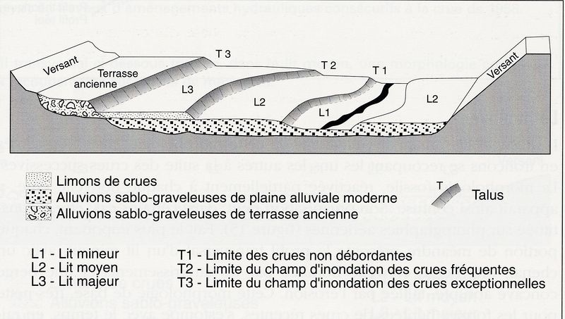 Fichier:Hgm figure1.jpg