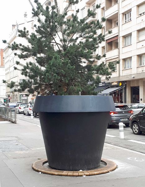 Fichier:Pot de fleur bc.jpg