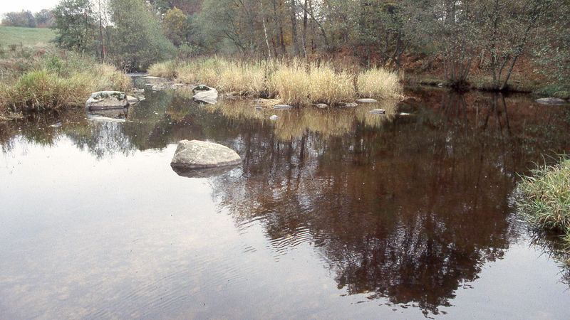 Fichier:BC riviere.jpg