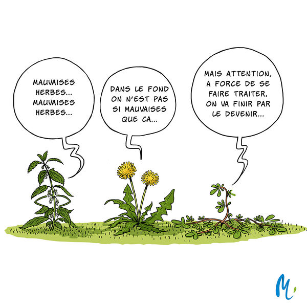 Fichier:IMG jpg 10 pesticides.jpg