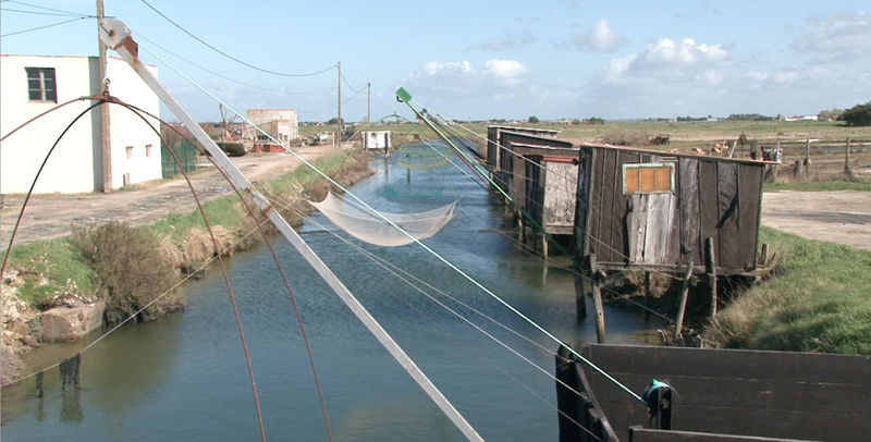 Fichier:Port du collet pecheries.jpg