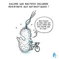 Vignette pour la version du 20 décembre 2021 à 00:26