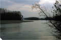 Vignette pour la version du 23 novembre 2012 à 11:39