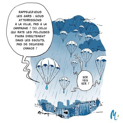 Route ou pelouse.jpg