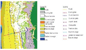 carto_classif