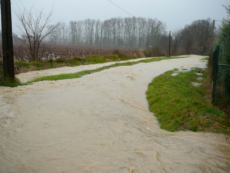 Fichier:Inondation-PS1.jpg
