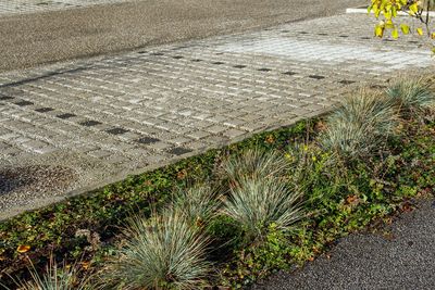 Noue et paves beton perméables 1.jpg