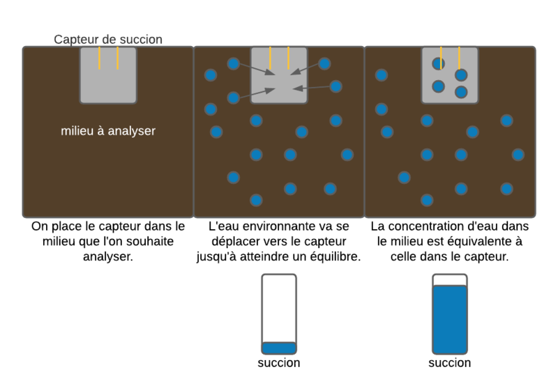 Fichier:Schéma 1.png