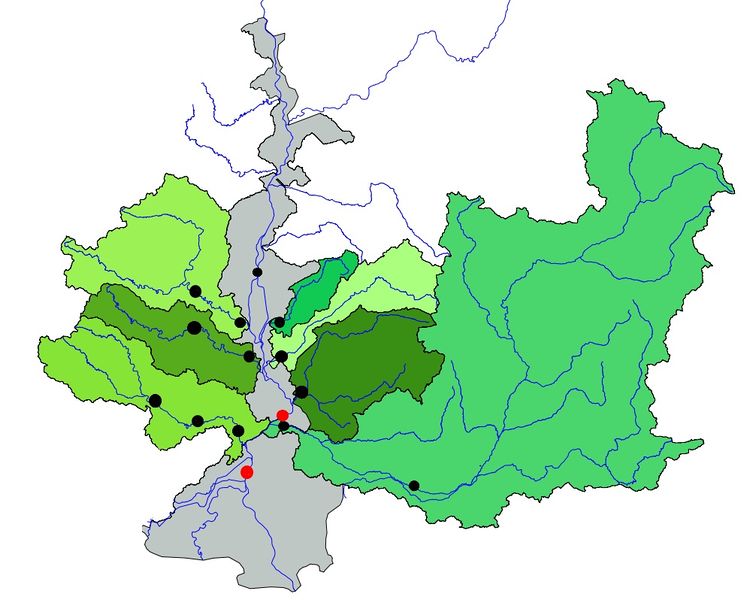 Fichier:Rhone aval.jpg