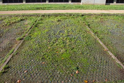 Parking dalle perméable vegetalisee.jpg