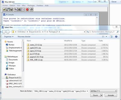 DICARTO R installation des packages 2.jpg