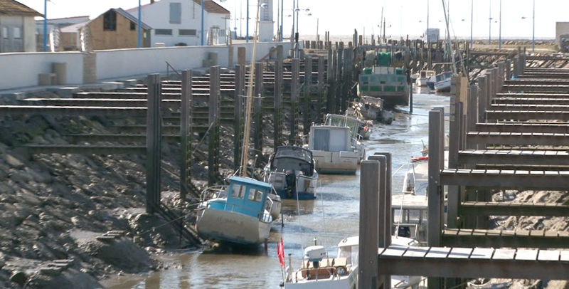 Fichier:Port du collet alignement de pontons.jpg