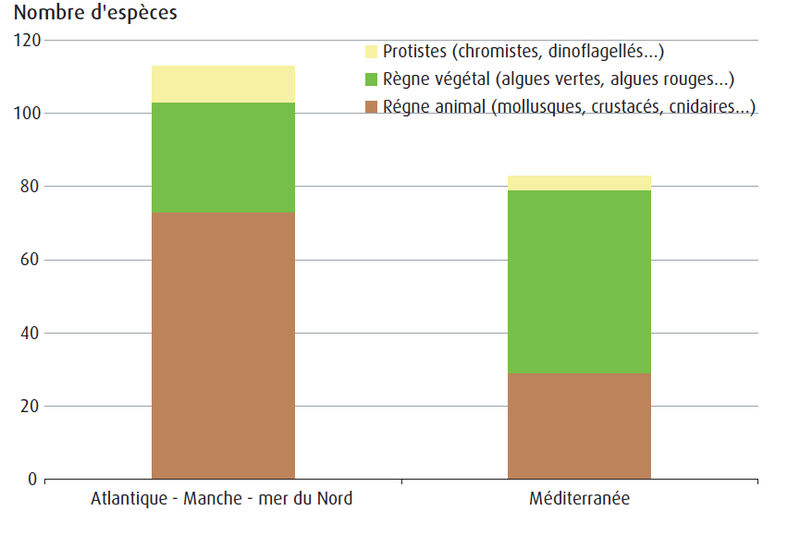 Fichier:Especes exotiques dans les eaux metropolitaines.jpg