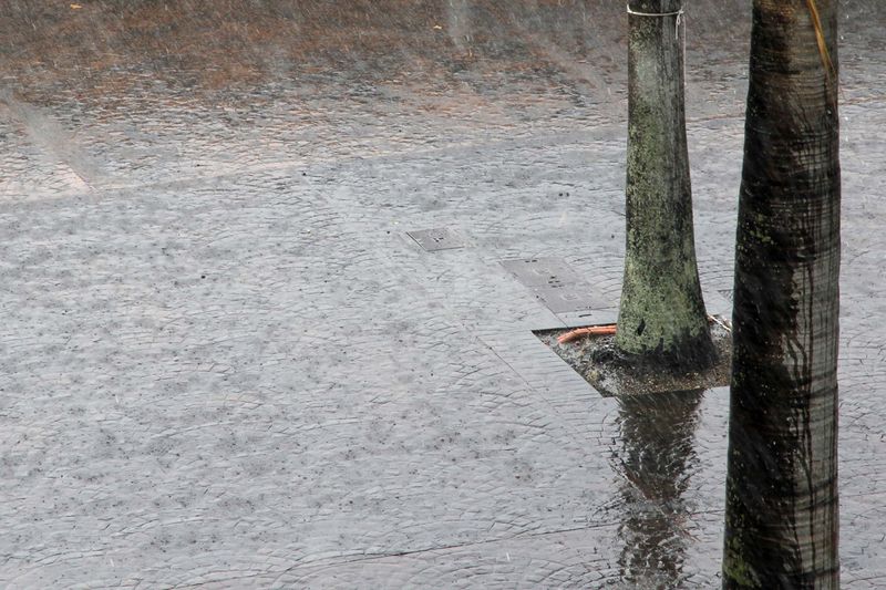 Fichier:Eau de pluie eau pluviale.jpg