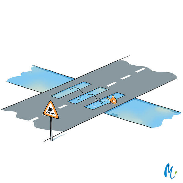 Fichier:IMG jpg 16 nature en ville.jpg