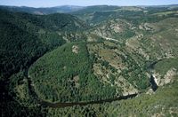 Figure 8 - l'Allier des Gorges - CEN Auvergne.jpg