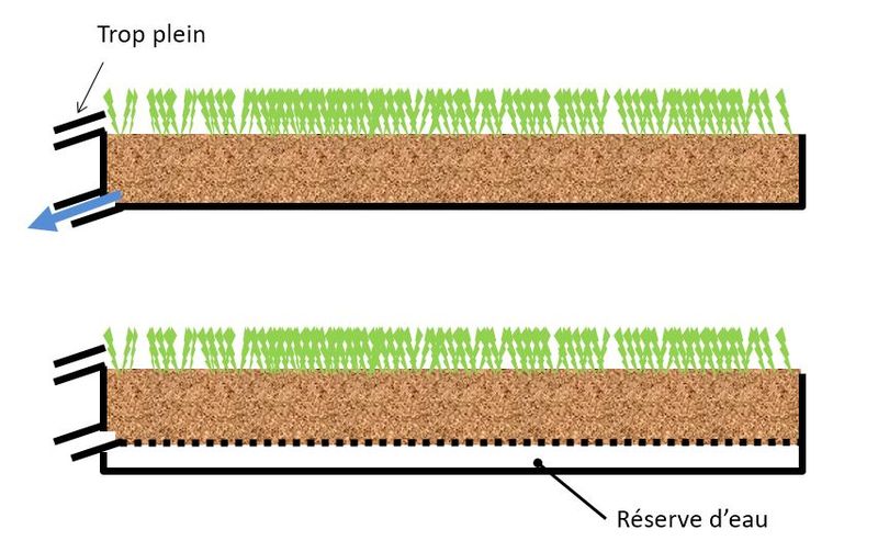 Fichier:Toiture vegetalisée avec ou sans reserve.JPG