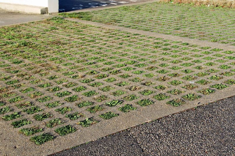 Fichier:Dalle beton vegetalisee 1.jpg