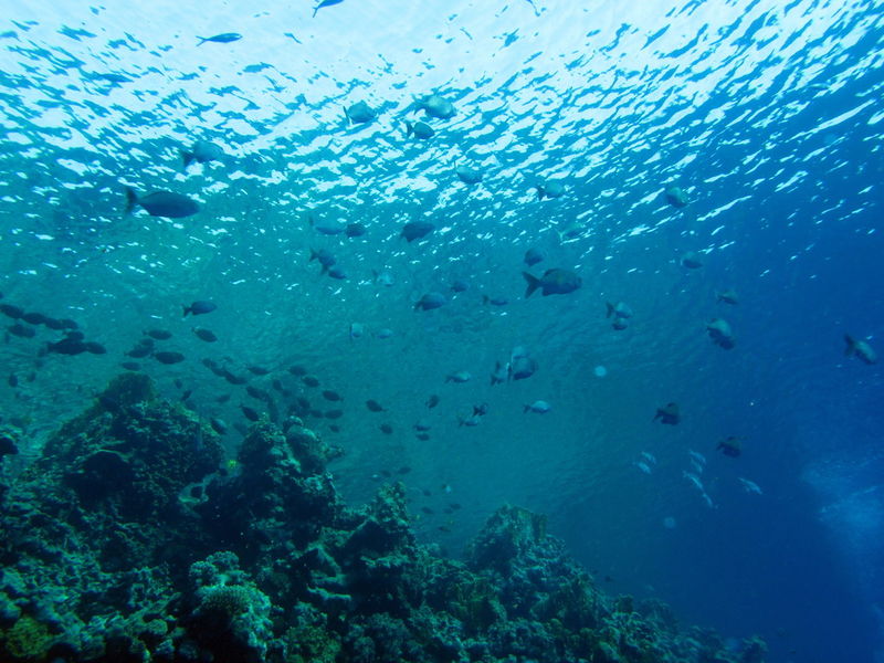 Fichier:Transparent water (6165868031).jpg