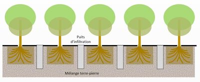 Massif enterré puits infiltration.JPG