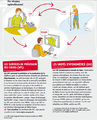 Vignette pour la version du 23 novembre 2012 à 12:10