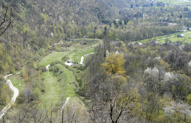 Fichier:DSC0160.jpg