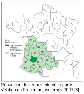 Carte france.bmp