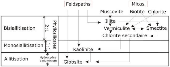 Le phénomène d’hydrolyse sous ses différentes formes.bmp