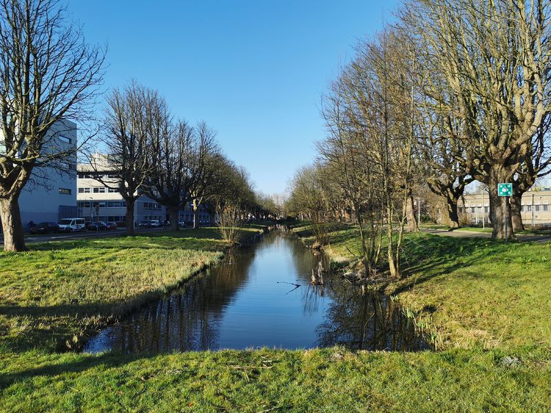 Fichier:Bassin-en-eau 2022-03-18 08.42.10 fc.jpg