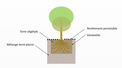 Massif enterré fosse arbre.JPG