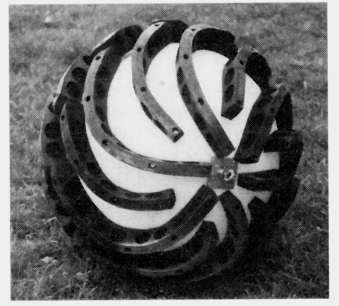 Fichier:Boule de curage017.jpg
