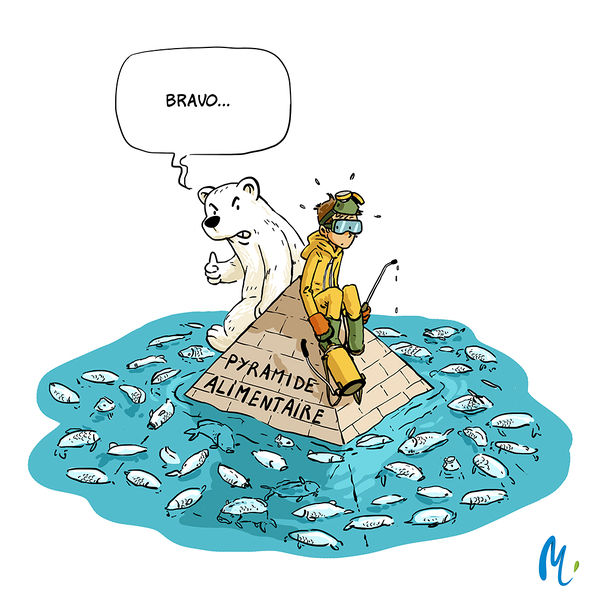 Fichier:11 Pesticides 2.jpg