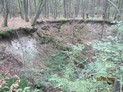 Fontis forêt de Chanteloup les Vignes.jpg