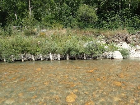 Ingenierie ecologique - Photo 1.jpg