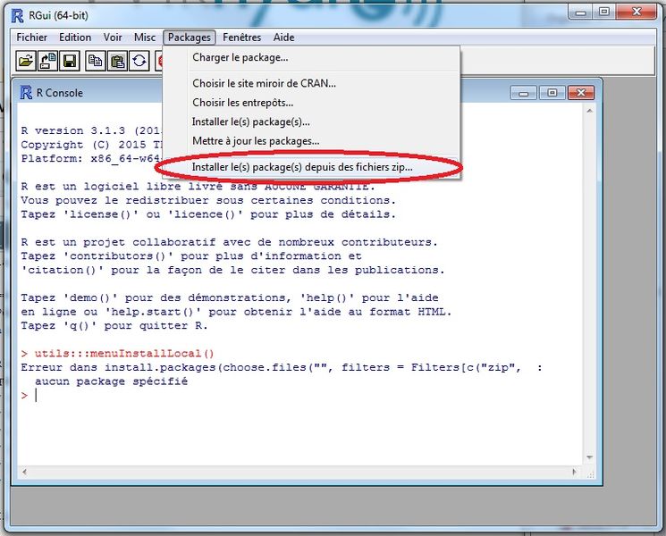 Fichier:DICARTO R installation des packages.jpg