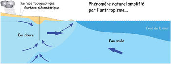 Amplification de l'intrusion saline des aquifères côtiers par influence anthropique (48) .jpg