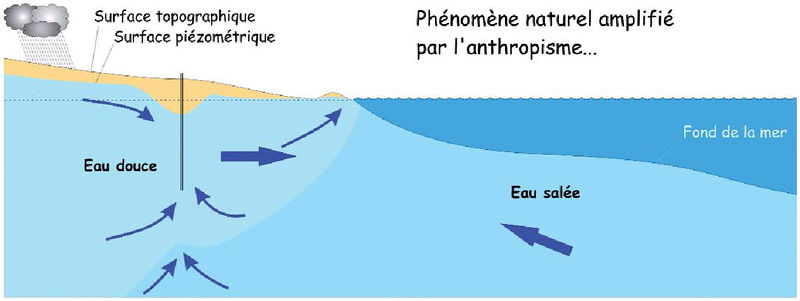 Fichier:Amplification de l'intrusion saline des aquifères côtiers par influence anthropique (48) .jpg